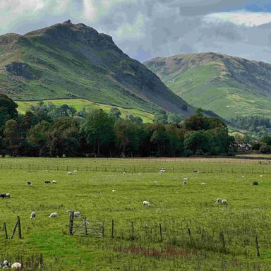 Fells rise from the Landscape